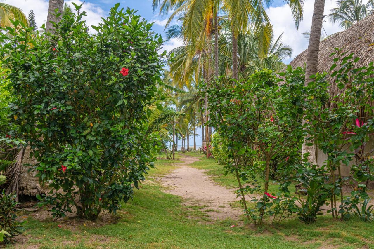 Hotel Casa Chapolin